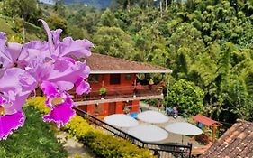 Hotel Orillas Del Pizano