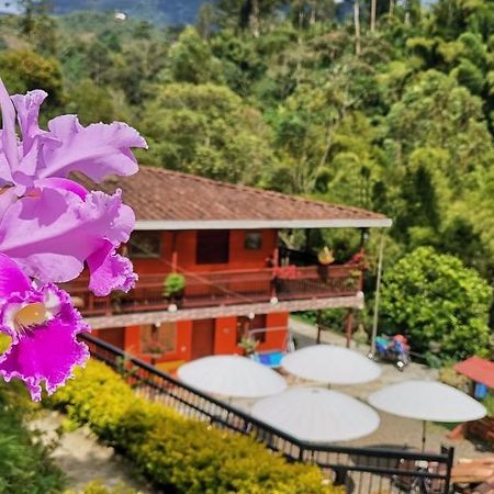 Hotel Orillas Del Pizano Jardín Exterior photo