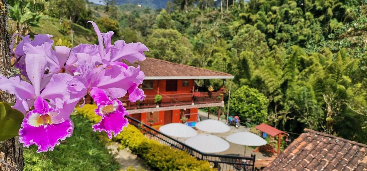 Hotel Orillas Del Pizano Jardín Exterior photo