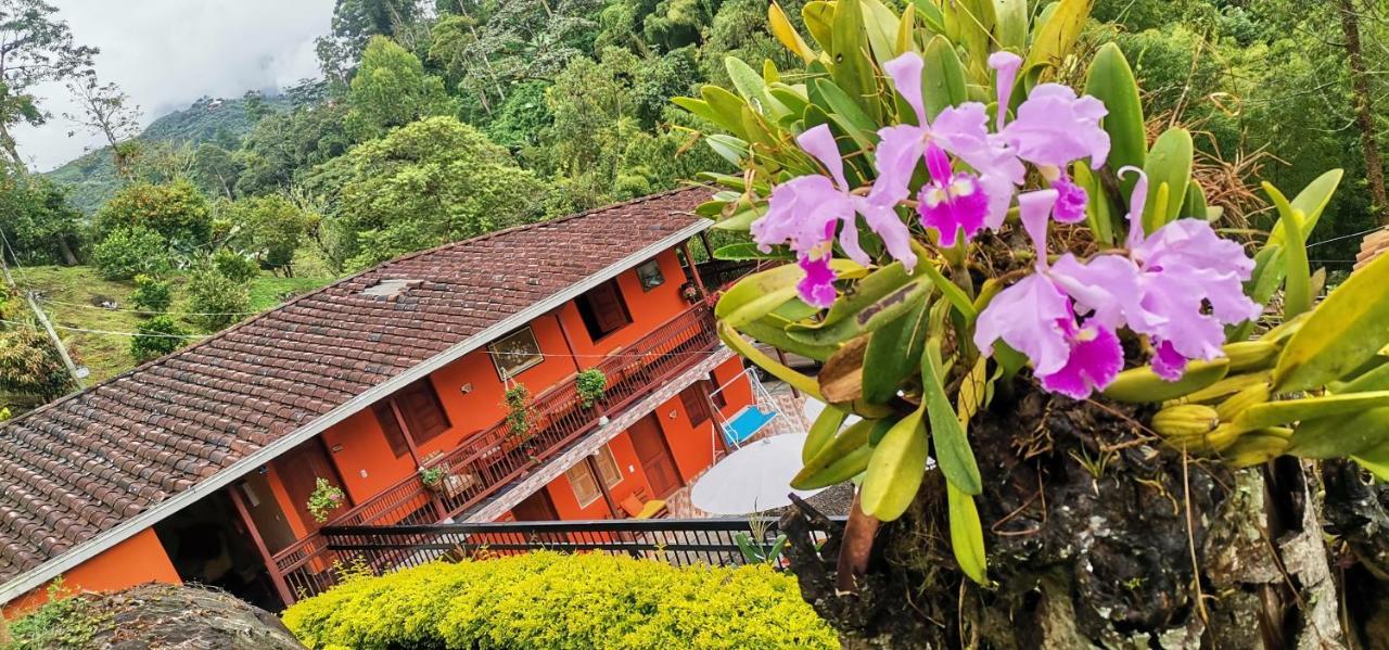 Hotel Orillas Del Pizano Jardín Exterior photo
