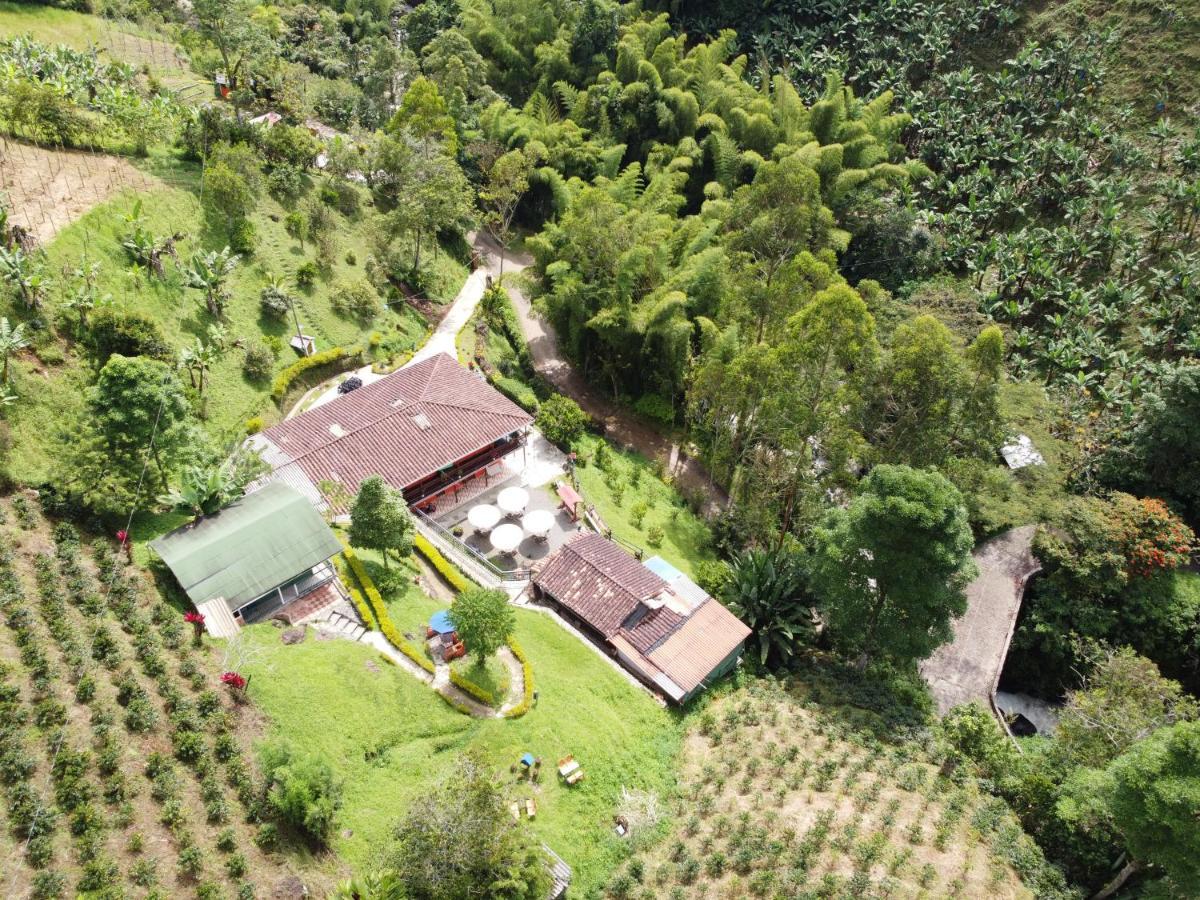 Hotel Orillas Del Pizano Jardín Exterior photo