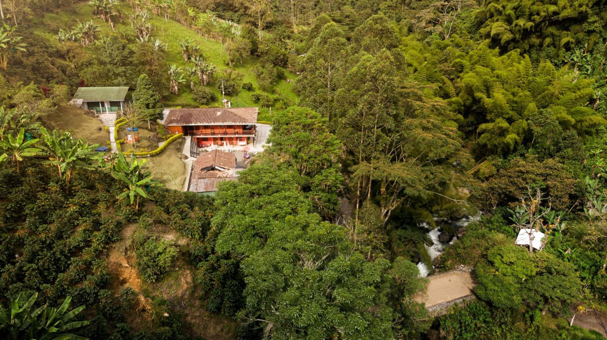 Hotel Orillas Del Pizano Jardín Exterior photo